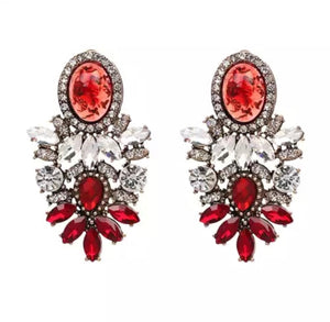 Red elegant Earrings